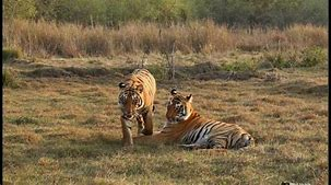 scenic view of Guru Ghasidas National Park